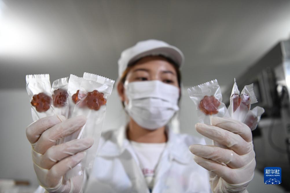 斗牛下载送金币
